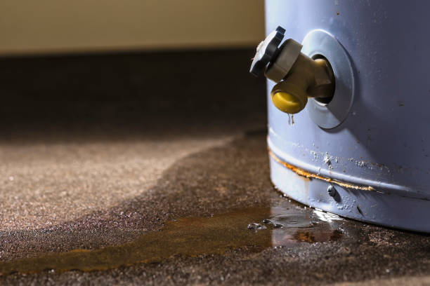 Best Professional water damage repair  in Green Bay, WI