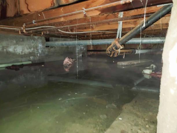 Best Commercial water damage restoration  in Green Bay, WI