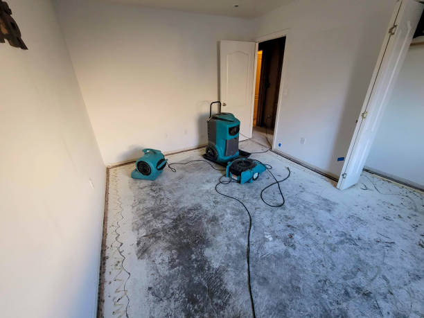 Best Water damage restoration experts  in Green Bay, WI