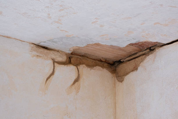  Green Bay, WI Water damage restoration Pros