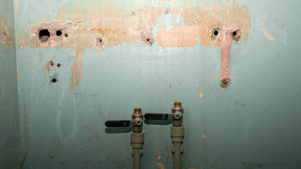 Best 24/7 water damage repair  in Green Bay, WI