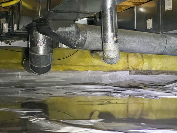 Best Flood damage cleanup  in Green Bay, WI